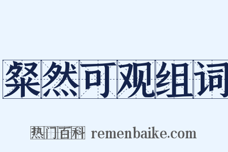 粲然可观组词是什么意思的图片